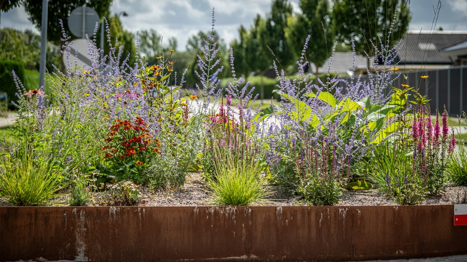 Blomsterbed i bybilledet