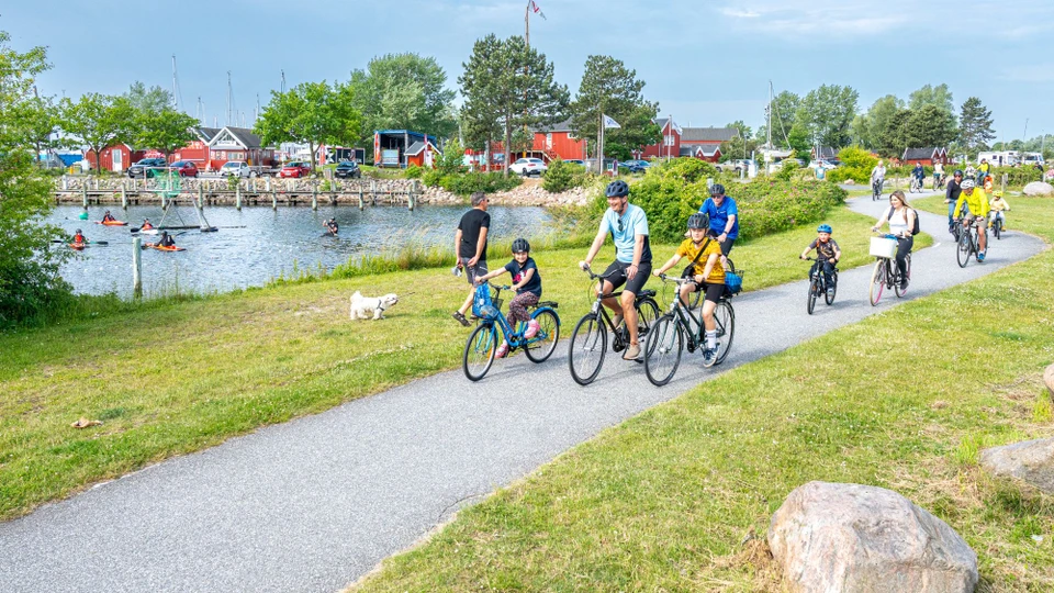 En større gruppe cykler på asfalteret cykelsti gennem et grønt og blåt havnemiljø