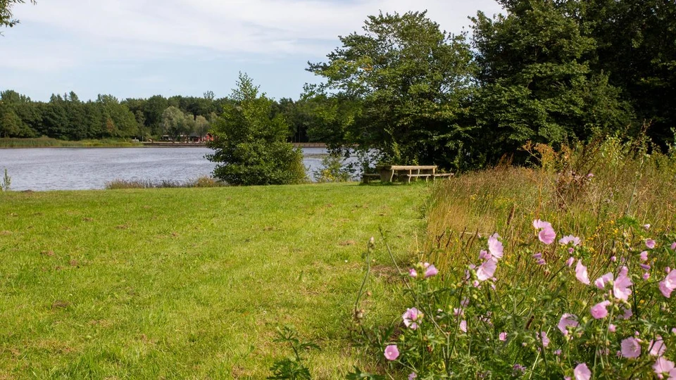 En bænk i grønne blomstrende områder med udsigt over en sø