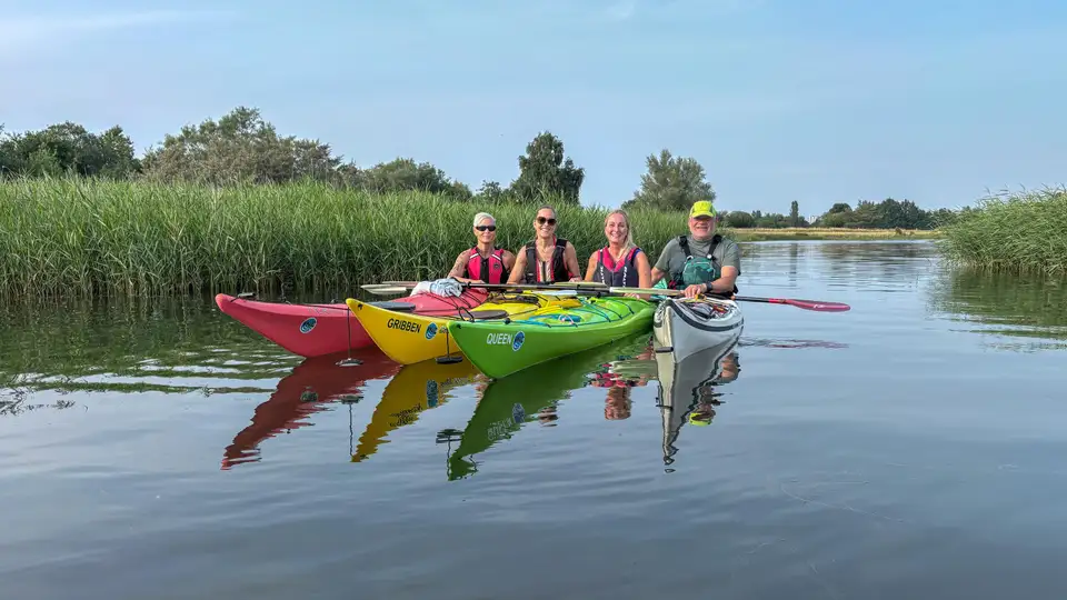 Kajakker i vandet