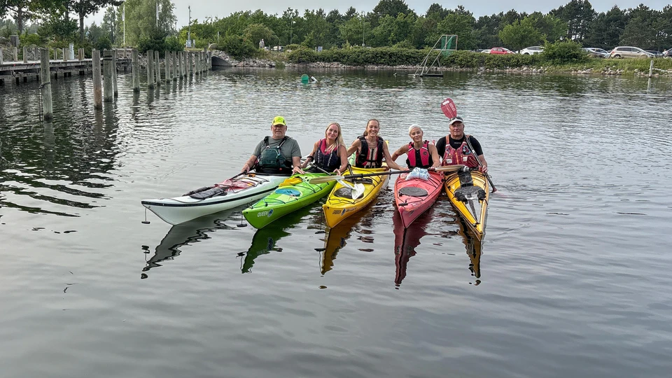 Fem kajakker i vandet i et havnemiljø
